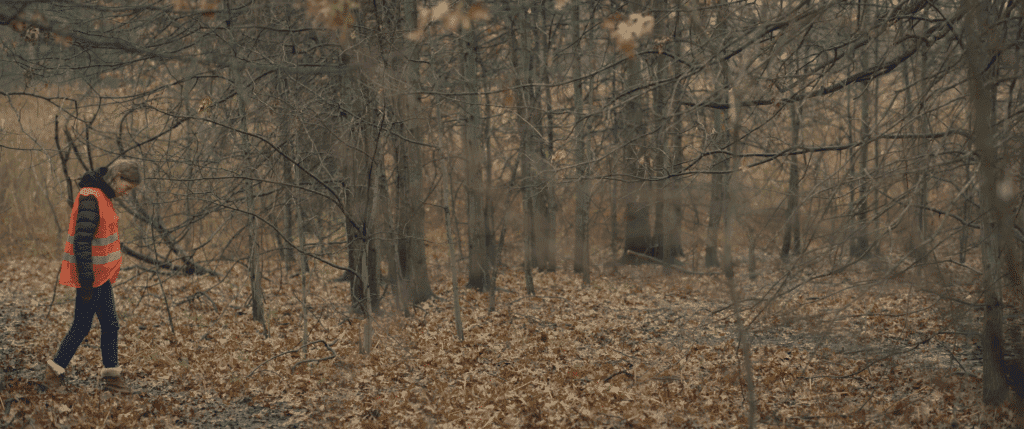 a woman in an orange vest walks though a forrest in the fall